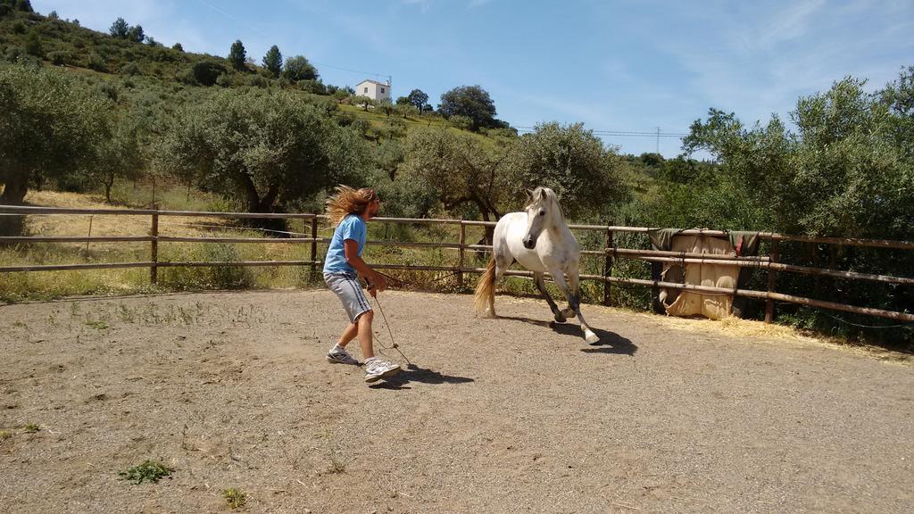 Finca La Piedra Holidays Алора Екстериор снимка