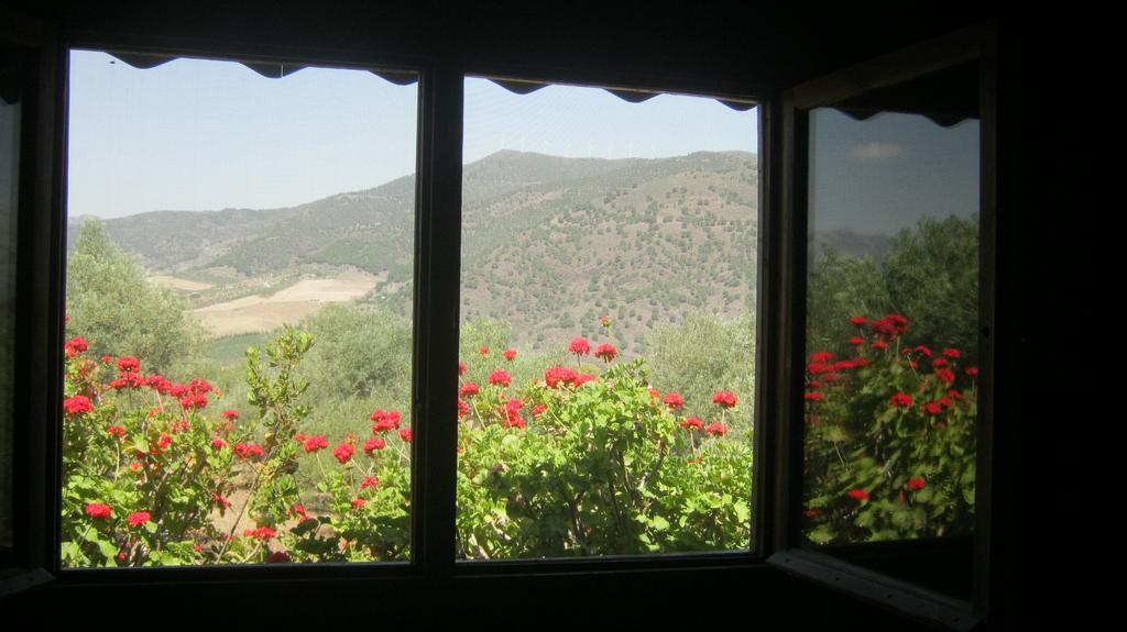 Finca La Piedra Holidays Алора Стая снимка