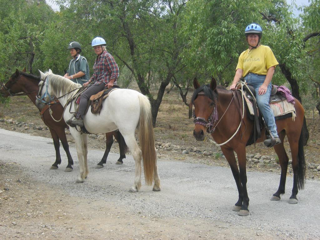 Finca La Piedra Holidays Алора Екстериор снимка