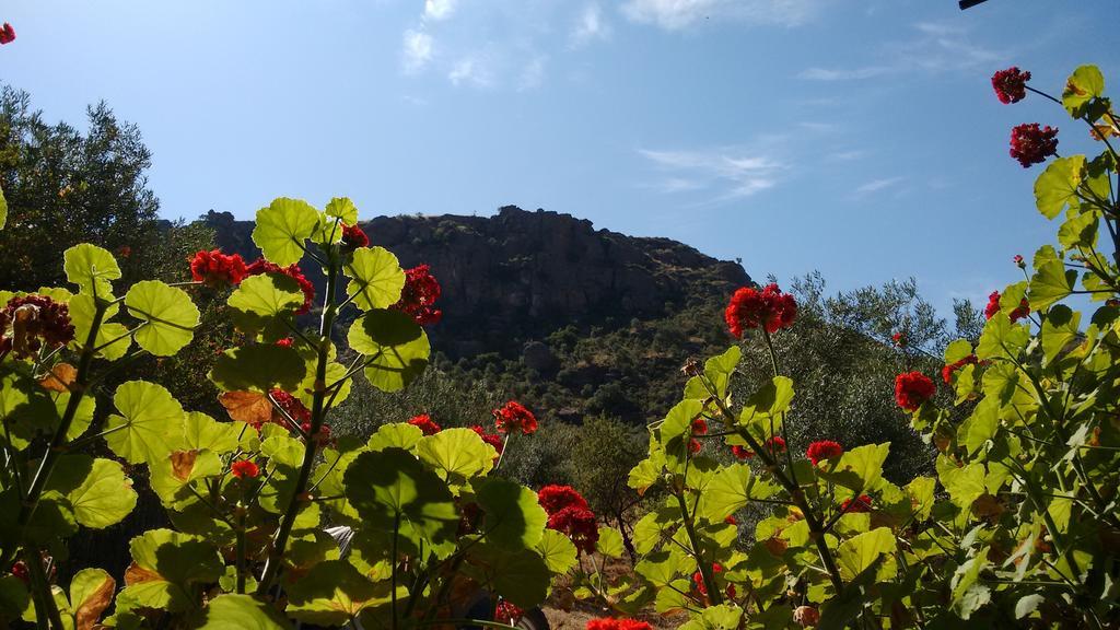 Finca La Piedra Holidays Алора Екстериор снимка